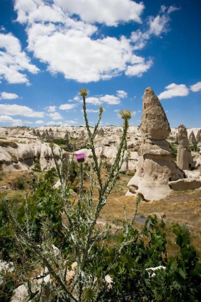 Fairy Chimney Inn Göreme Exterior foto